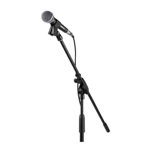 Microphones and Stands