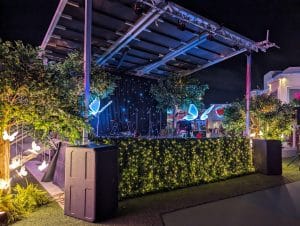 Enchanted stage