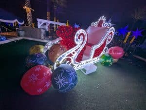 LED Sleigh